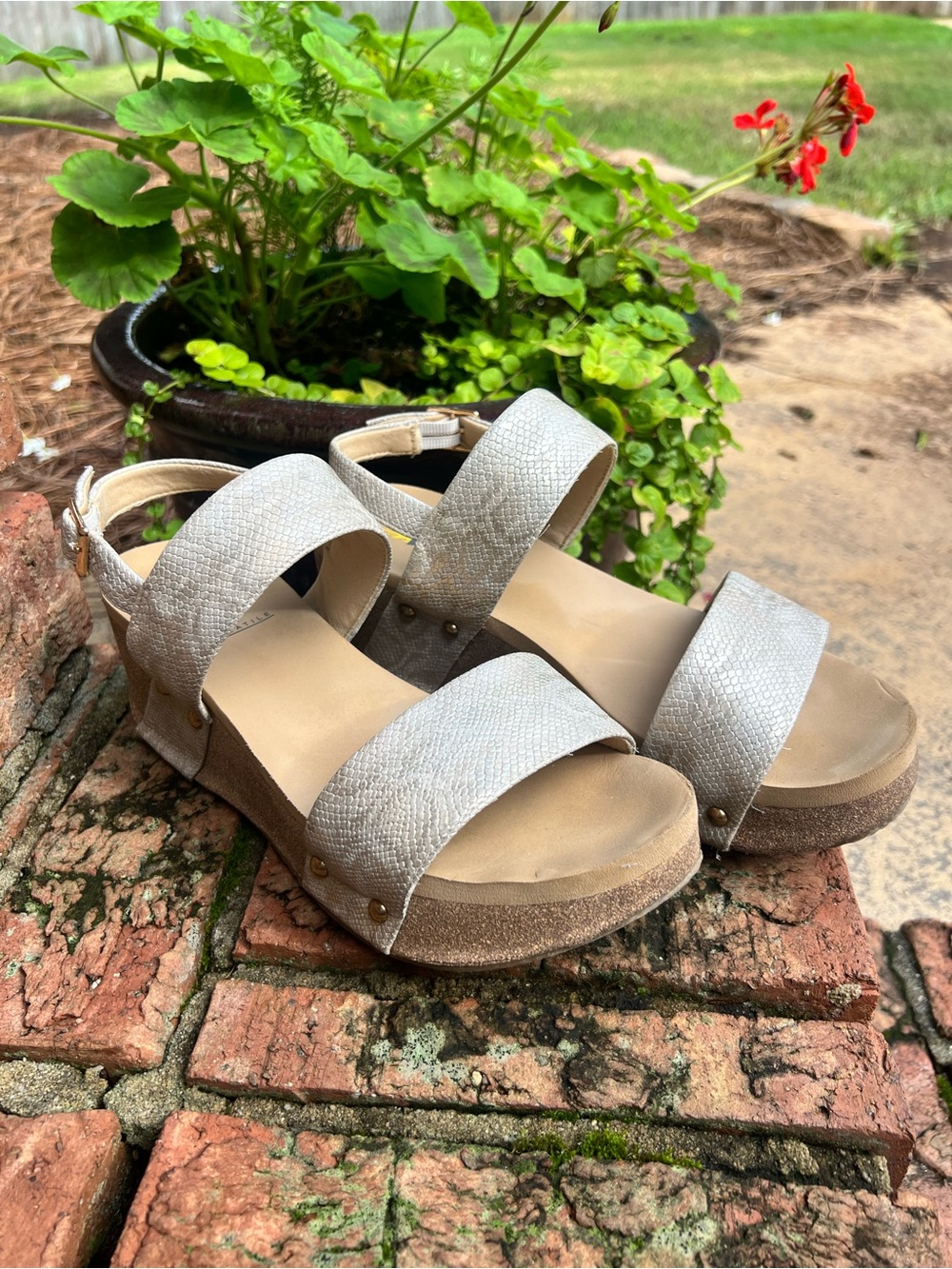 Volatile Metallic Snake Embossed Comfort Wedge Sandals Women’s Size 8